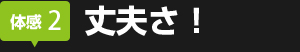 丈夫さ!